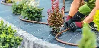 آبیاری قطره ای