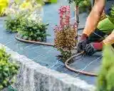 سیستم آبیاری قطره ای