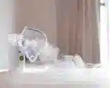 اجاره نبولایزر