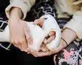 باز کردن گچ در منزل