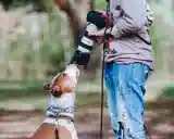 عکاسی از حیوانات